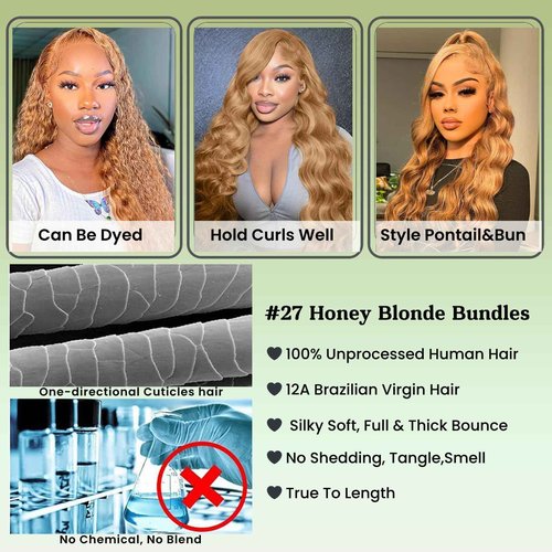 ALHER Long Deep Part 2x6 Lace Closure Honey Blonde Color 27 Body Wave, Sun-kissed Vibe Golden Blonde 2x6 Kim K HD Lace Closure Pre Plucked With Baby Hair, 12A 100% Virgin Remy Human Hair Closure 14 IN