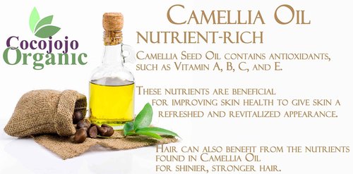 Dr Joe Lab Japanese Camellia Seed Oil - Pure, Unrefined, Cold Pressed, Non-GMO Bulk Carrier - 32 oz - for Skin, Hair, Nails, Body, Facial Hair - Hydrating Moisturizing Vegan - Packaging May Vary