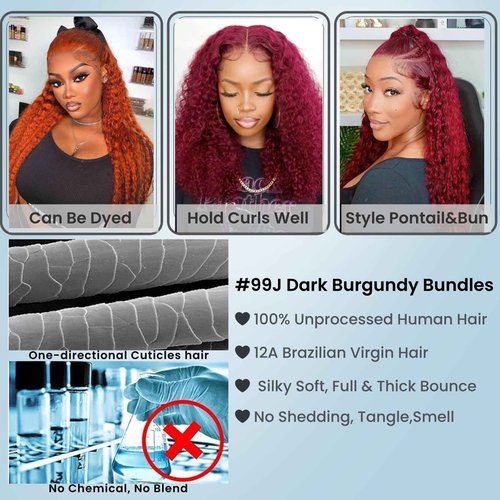ALHER 4x4 HD Lace Closure Brazilian Human Hair 99j Dark Burgundy Water Wave, 12A Cherry Red Wine Red Color 4x4 Lace Closure 100% Unprocessed Remy Hair Wet n Wavy Free Part & Bleached Knots 12 Inch