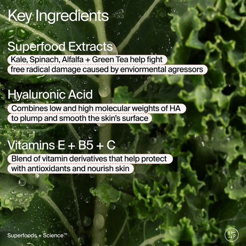 Youth To The People Superfood Air-Whip Moisture Cream Full Size - Kale + Green Tea Hyaluronic Acid Face Moisturizer, Smooths + Hydrates Up to 48HR with Dewy Glow, Non-Greasy Lightweight Gel - 2 fl oz