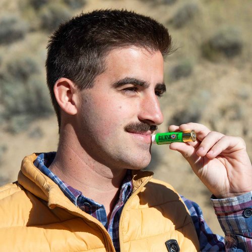 BALMSHOT Lip Balm 4 Pack (Minty Combo Variety Pack)
