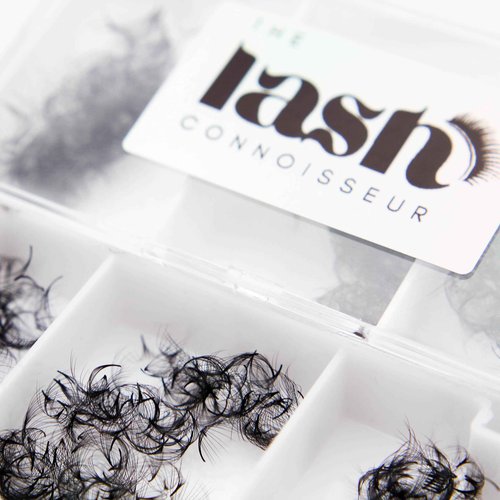 10D - C Curl 750 Fans Mixed Promade Fans Lash Extensions | TLC Lash Supplies 4D to 16D Premade Fans 7 mm to 16 mm Mixed Length Thin Base Premade Fans Eyelash Extensions (10D - C Curl, 11-12-13 mm)