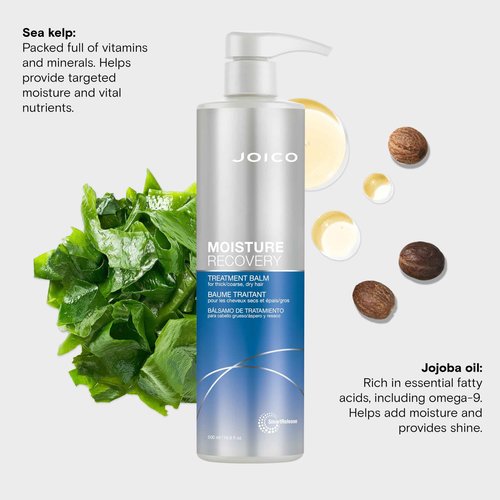 Joico Moisture Recovery Treatment Balm | For Thick, Coarse, Dry Hair | Restore Moisture, Smoothness, Strength, & Elasticity | Reduce Breakage & Frizz | With Jojoba Oil & Shea Butter | 16.9 Fl Oz