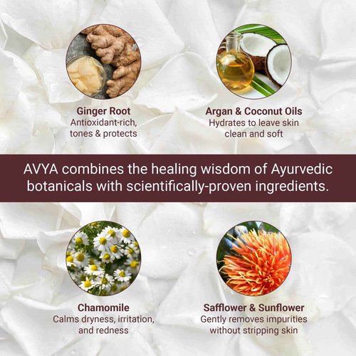 AVYA Hydroveda Essentials Daily Milk Cleanser (8.2oz) - Advanced Ayurvedic Skincare/Removes Makeup and Impurities for Natural Radiance/Ginger Blend Great for Sensitive Skin