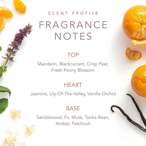 Dolly Parton Scent from Above Perfume - Eau de Parfum Spray for Women - Floral, Fruity, Casual & Feminine Perfume with Notes of Mandarin, Jasmine, and Sandalwood - 3.4 Fl Oz