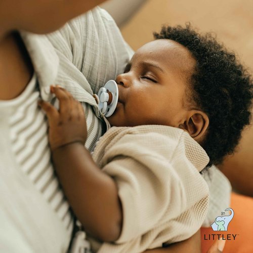 Think Smarter Products Littley Pacifier & Teether Cleaner with Hypochlorous Acid, Non-Toxic & Alcohol-Free, Gentle Formula for Cleaning Baby & Toddler Essentials, 8oz Spray Bottle