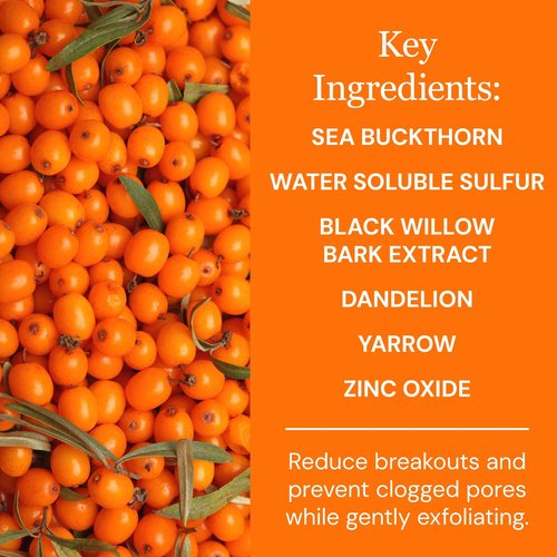 Elina Organics Sea Buckthorn Healing Lotion, 4oz – Soothing Moisturizer with MSM, Black Willow Bark & Zinc Oxide – Organic, Vegan – Repairs Acne, Redness & Skin Irritation