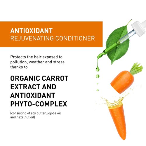 Insight Clean Beauty Antioxidant Rejuvenating Conditioner, Organic Carrot Extract, Vegan, 13.5 fl oz