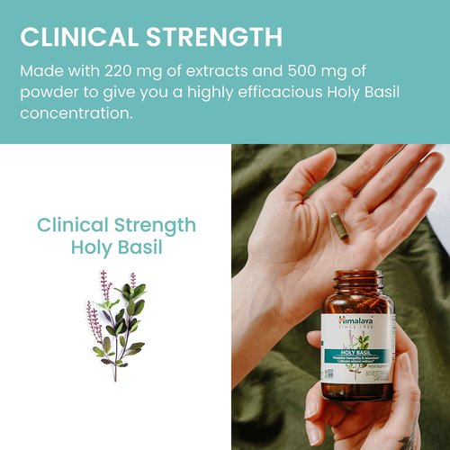 Himalaya Holy Basil, 60 Day Supply - Herbal Adrenal Support for Stress Relief, Relaxation, Energy Support and Occasional Sleeplessness - Vegan, Non-GMO, Gluten Free, 720 mg, 60 Capsules, Pack of 2