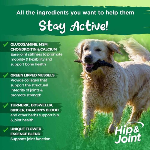 Vital Planet - Natural Hip and Joint Supplement for Dogs - Potent Herbal Blend with Green Lipped Mussel, MSM and Glucosamine Beef Flavor (60 Chewable Tabs)