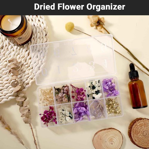 Cosics Acrylic Fake Nail Organizer Case, 2PCS 10-Compartment Nail Tip Storage Box with Number, 10 Space Rhinestone Nail Art Accessories Container, Clear Plastic Nail Box for Jewelry Charms Gem Vitamin