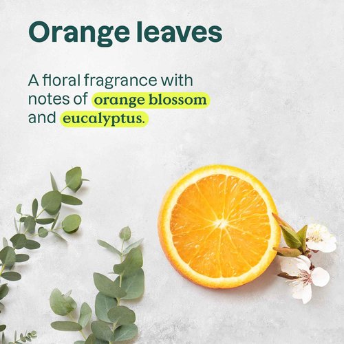 Bundle of ATTITUDE Foaming Hand Soap, EWG Verified, Dermatologically Tested, Plant and Mineral-Based, Vegan Personal Care Products, Orange Leaves, 10 Fl Oz + Bulk Refill, 67.62 Fl Oz