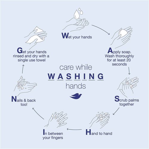 Dove Beauty Bar For Softer Skin Pink More Moisturizing Than Bar Soap 3.75 oz 20 Bars