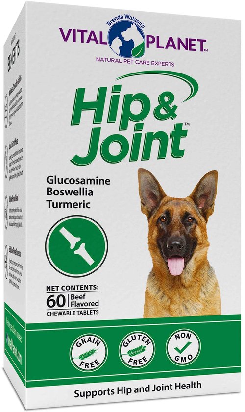 Vital Planet - Natural Hip and Joint Supplement for Dogs - Potent Herbal Blend with Green Lipped Mussel, MSM and Glucosamine Beef Flavor (60 Chewable Tabs)