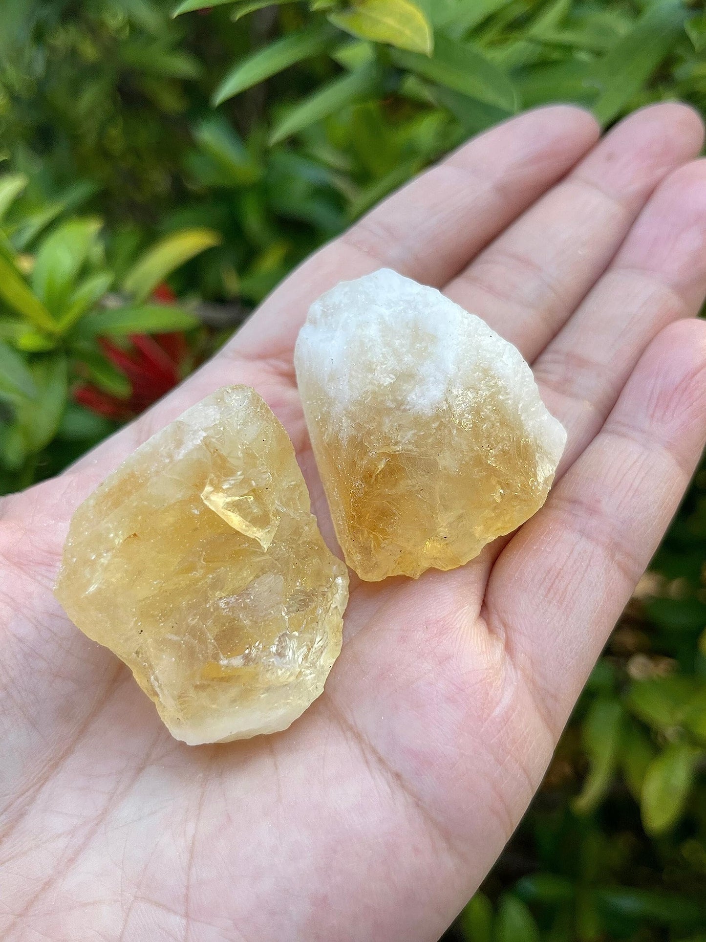 GAF TREASURES Wholesale Raw Citrine Crystals, Natural Citrine Stone, Natural Rough Citrine Crystals, Citrine Rough, Citrine Healing Crystals (Citrine, 0.5 Pound)