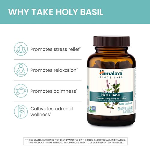 Himalaya Holy Basil, 60 Day Supply - Herbal Adrenal Support for Stress Relief, Relaxation, Energy Support and Occasional Sleeplessness - Vegan, Non-GMO, Gluten Free, 720 mg, 60 Capsules, Pack of 2