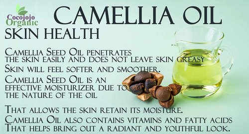 Dr Joe Lab Japanese Camellia Seed Oil - Pure, Unrefined, Cold Pressed, Non-GMO Bulk Carrier - 16 oz - for Skin, Hair, Nails, Body, Facial Hair - Hydrating Moisturizing Vegan Nourishing