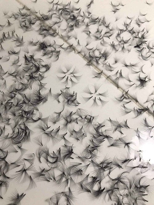 12D PREMADE (HAND MADE) FAN LASHES (500 FANS/TRAY) FOR EYELASH EXTENSION, D CURL, 0.05 THICKNESS, LENGTH FROM 10MM-15MM (D10mm12D)