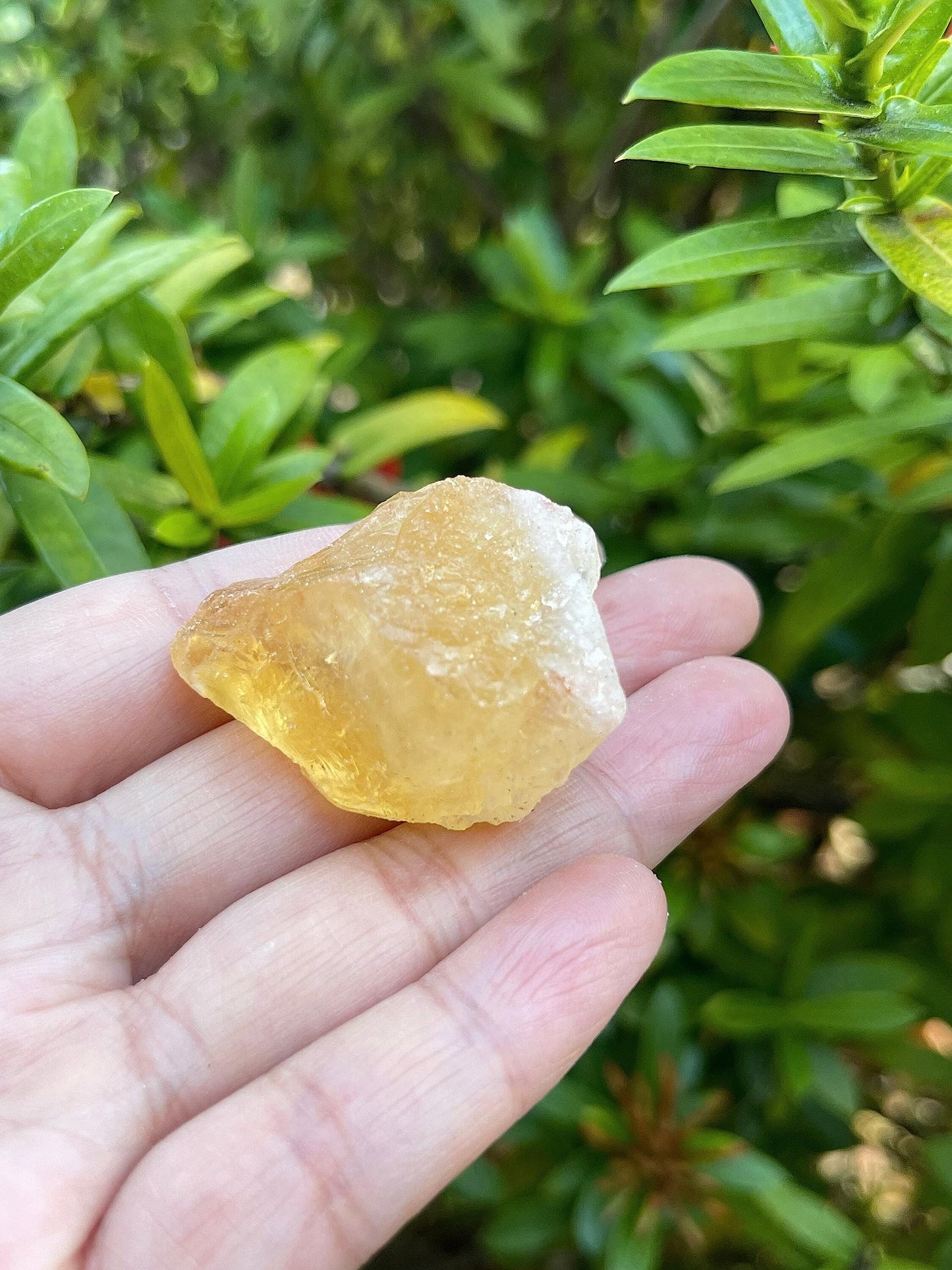 GAF TREASURES Wholesale Raw Citrine Crystals, Natural Citrine Stone, Natural Rough Citrine Crystals, Citrine Rough, Citrine Healing Crystals (Citrine, 0.5 Pound)