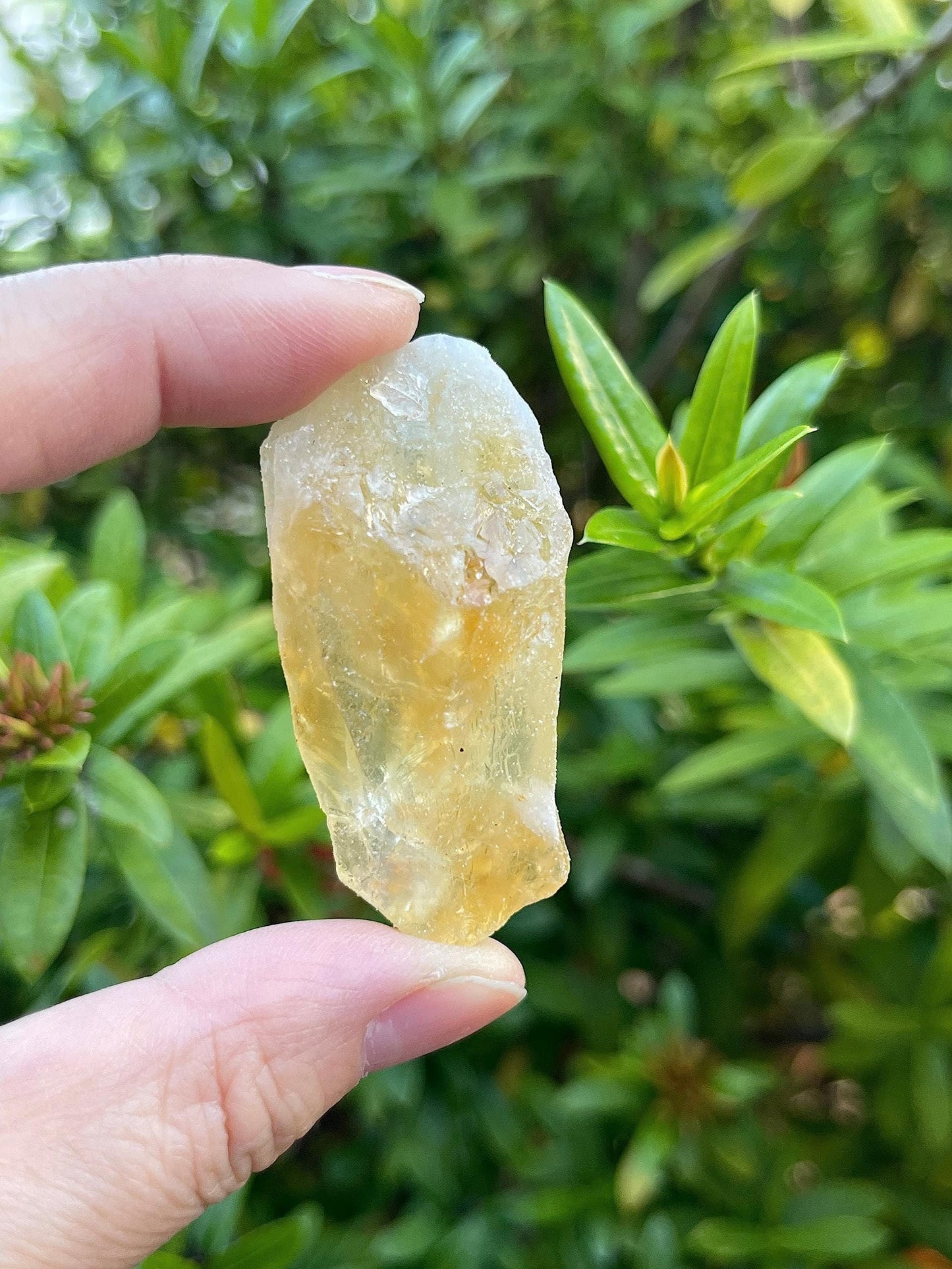 GAF TREASURES Wholesale Raw Citrine Crystals, Natural Citrine Stone, Natural Rough Citrine Crystals, Citrine Rough, Citrine Healing Crystals (Citrine, 0.5 Pound)