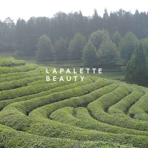 LAPALETTE Calming Green Turnover Toner | Green Tea | Hydrating & Moisturizing | Gentle Peeling with Natural Aha, Bha & PHA Ingredients | Korean Skincare 6.75fl.oz