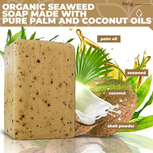 Reviva Seaweed Soap - 4 Pack - Organic Seaweed Face Scrub and Exfoliating Body Scrub Soap Bar - 4.5 oz. Vegetable Base Natural Bar Soap and Seaweed Bath Detox Soap Made in the USA