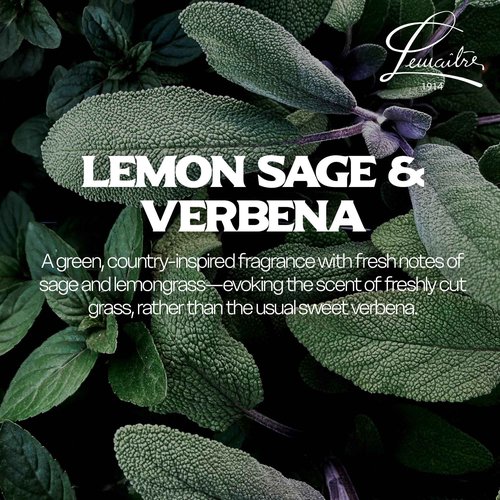 LEMAITRE Hydrating Hand & Body Cream – Non-Greasy Moisturizer for Soft Skin, Fast Absorbing Lotion with Light Scent, Travel-Friendly Skincare (Pack of 6), Sage, Lemon Grass, Vervena