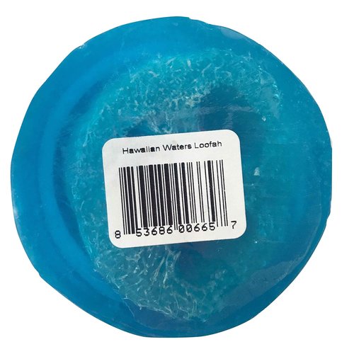Bubble Shack Hawaii Bungalow Glow Coco Loofah Soap (Hawaiian Waters Ocean Bliss)