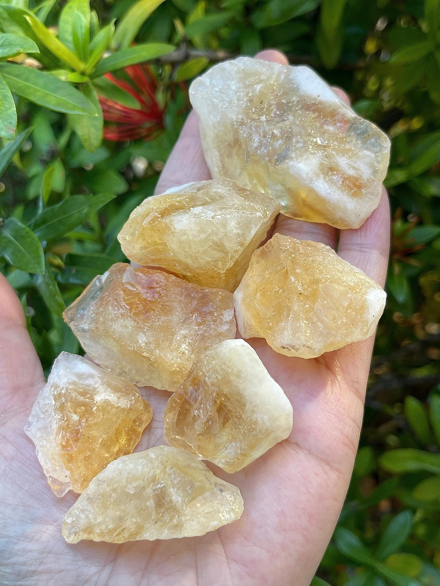 GAF TREASURES Wholesale Raw Citrine Crystals, Natural Citrine Stone, Natural Rough Citrine Crystals, Citrine Rough, Citrine Healing Crystals (Citrine, 0.5 Pound)