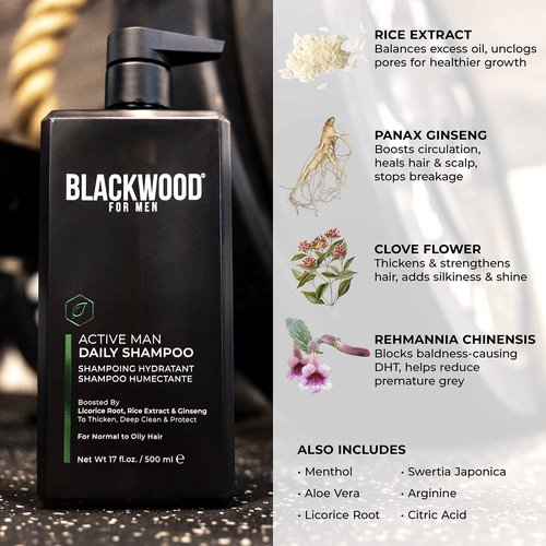 Blackwood For Men Active Man Daily Shampoo and Pure Moisture Body Wash - Sulfate Free, Paraben Free, & Cruelty Free (17 Oz)