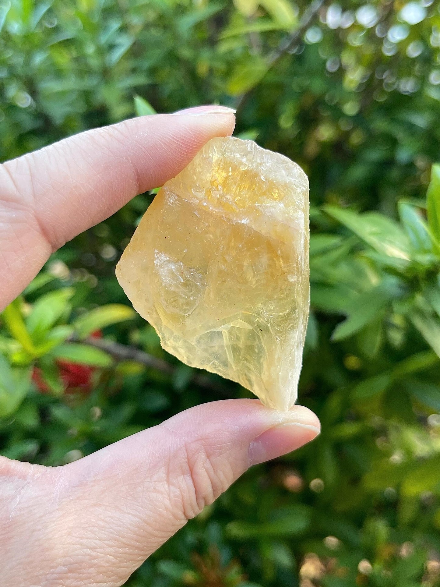 GAF TREASURES Wholesale Raw Citrine Crystals, Natural Citrine Stone, Natural Rough Citrine Crystals, Citrine Rough, Citrine Healing Crystals (Citrine, 0.5 Pound)