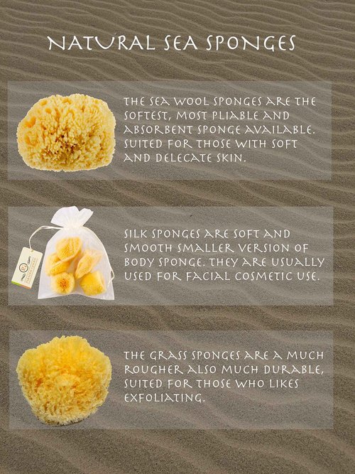 Natural Yellow Sea Wool Sponge 6 Inches. Perfect for Bath, Shower & Body Care. Super Soft & Not Skin Irritating. Baby Approved. Luxury Sponge in a Bag & Craft Box