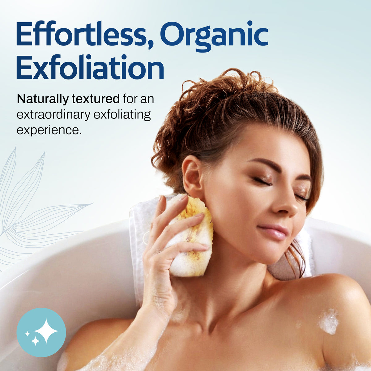 HartFelt Gentle Exfoliation Sea Sponge Beauty Box
