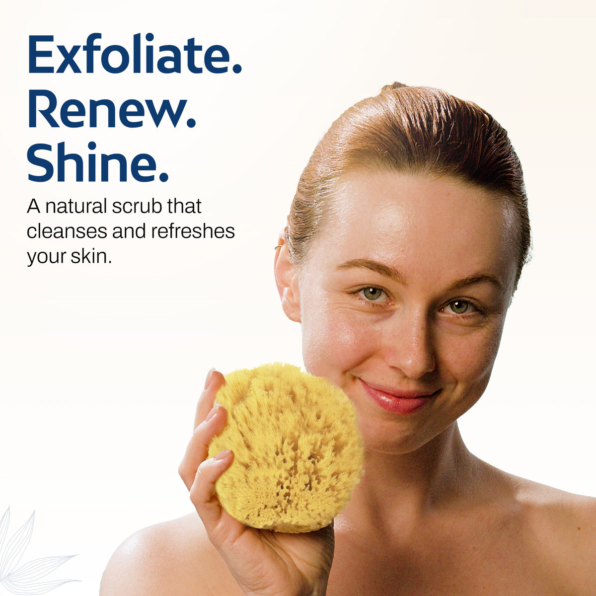 HartFelt Gentle Exfoliation Sea Sponge Beauty Box
