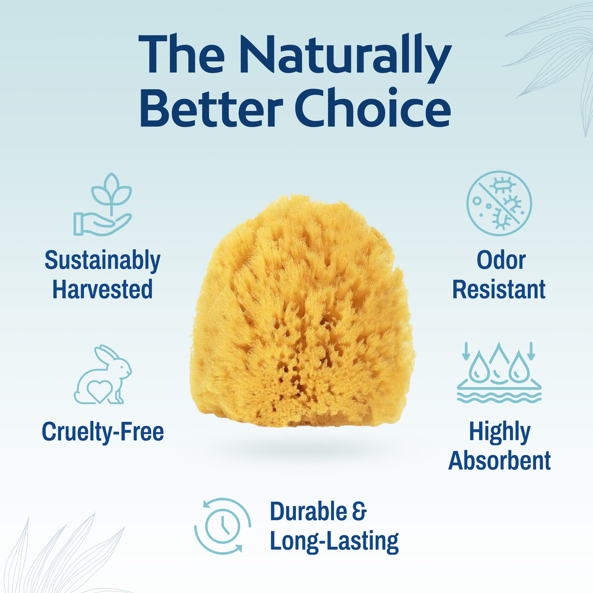 HartFelt Gentle Exfoliation Sea Sponge Beauty Box