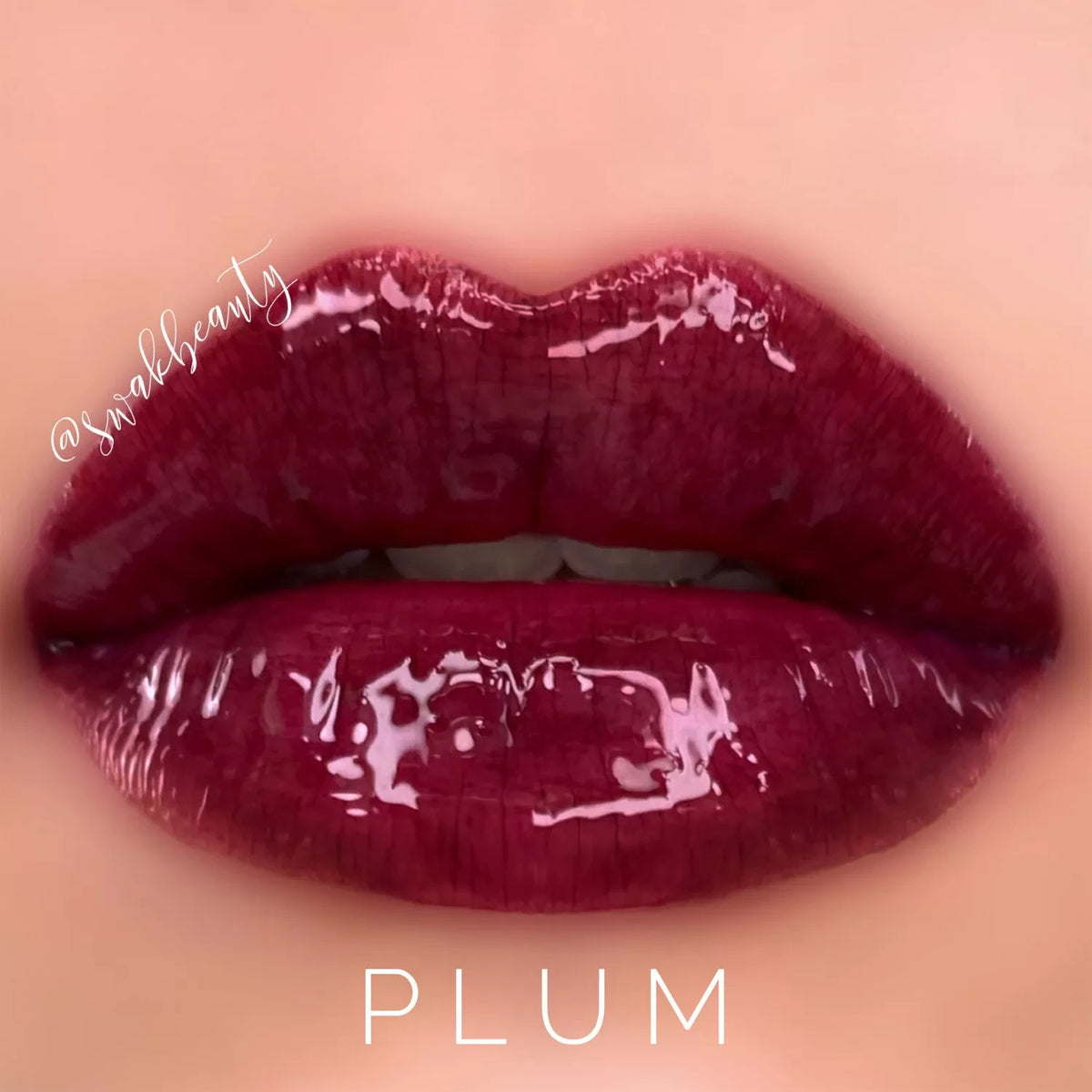 Long-Lasting Lip Color & Gloss Set - All Shades, Smudge-Proof & Waterproof