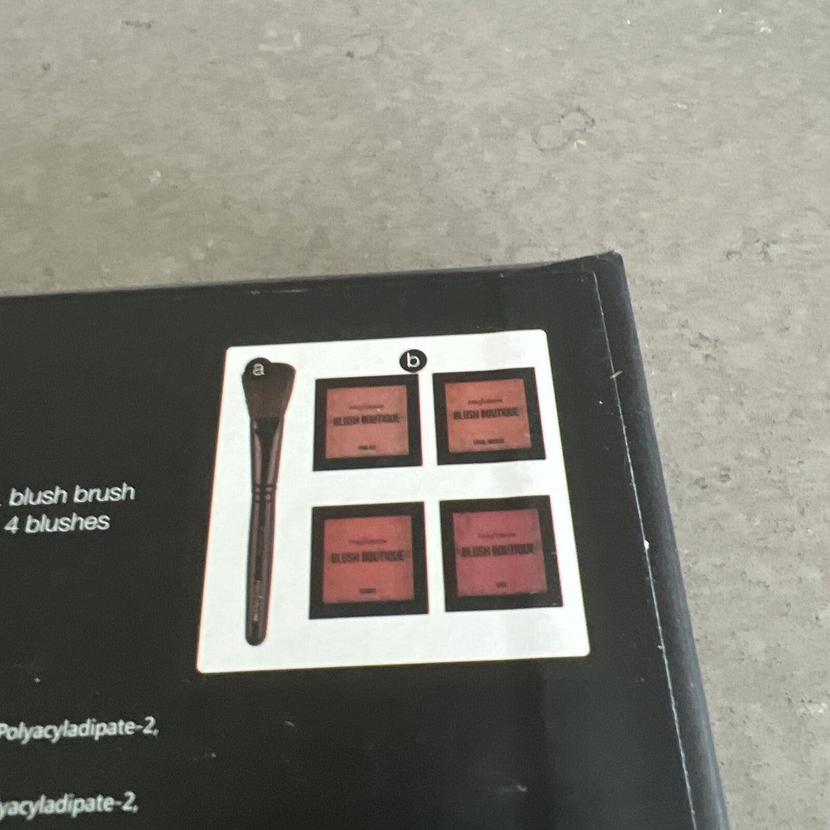 Profusion Blush Boutique Rosette 4-Color Makeup Set with Brush