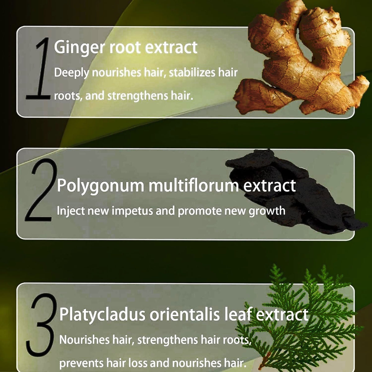 Ginger Hair Growth Shampoo - 400ml Herbal Treatment