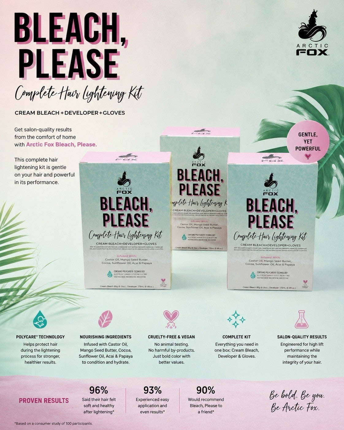 Hair Bleach & Developer Kit - 3 Pack Lightening