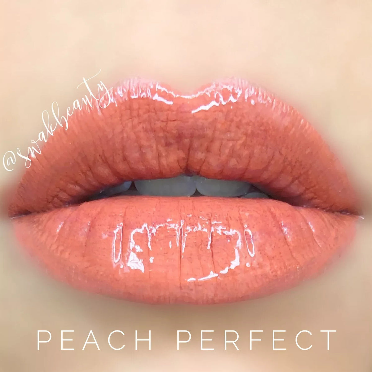 Long-Lasting Lip Color & Gloss Set - All Shades, Smudge-Proof & Waterproof