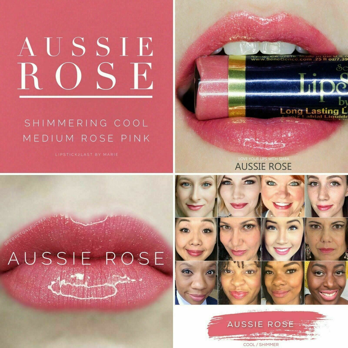 Long-Lasting Lip Color & Gloss Set - All Shades, Smudge-Proof & Waterproof