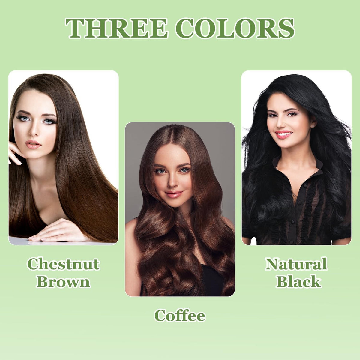 Natural Plant Hair Dye Shampoo for Gray Hair Coverage - Black, 1 Fl Oz