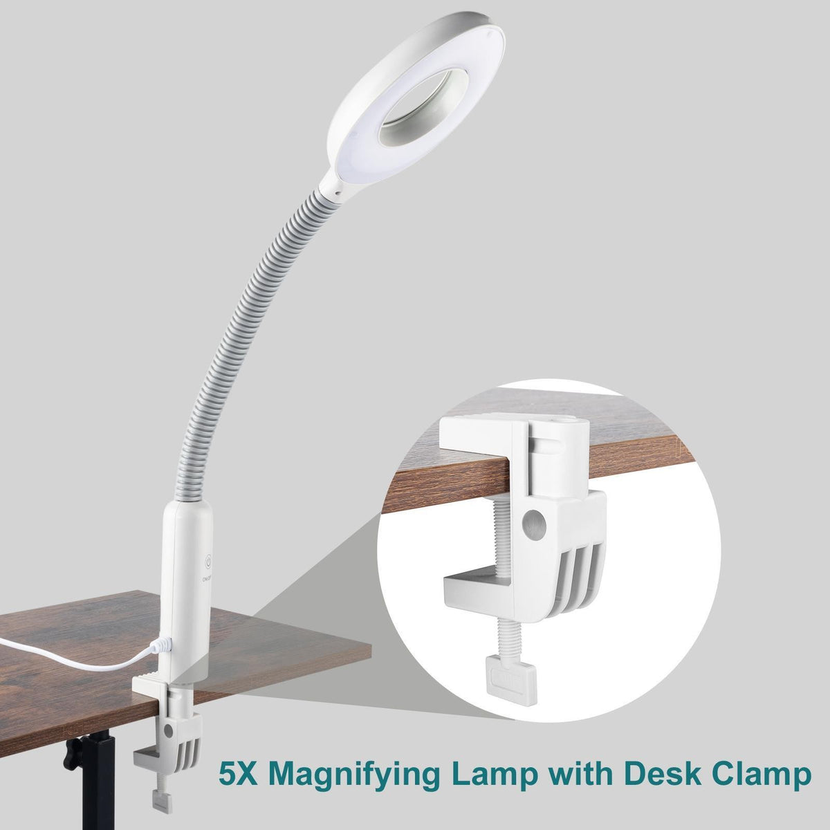 2-in-1 Facial Steamer with 5X LED Magnifying Lamp