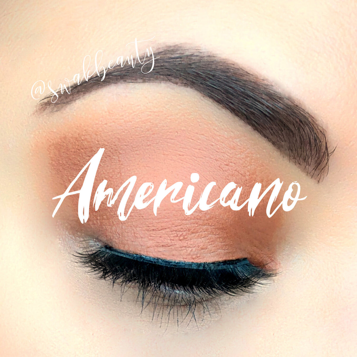 ShadowSense Eye Shadow - All Shades Authentic SeneGence Makeup