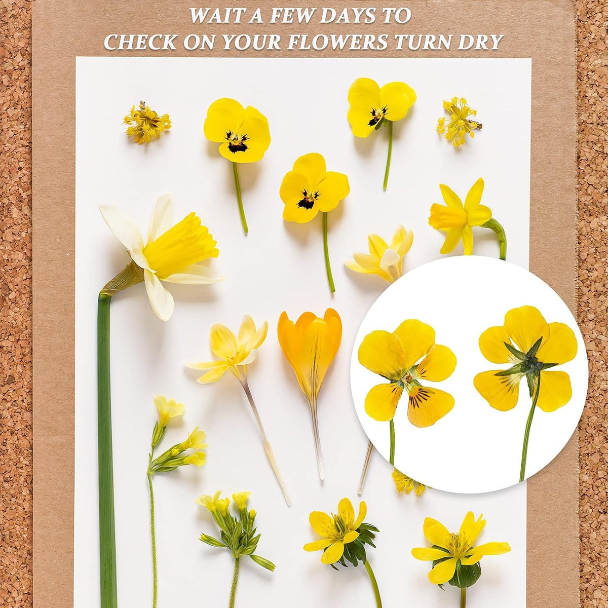 A4 Blotting Paper Sheets for Flower Pressing and Art Crafts - 20 Pack