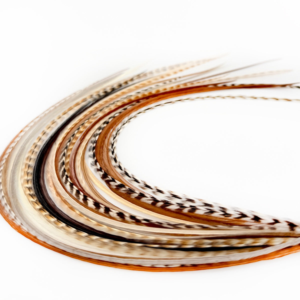 Feather Hair Extensions Kit - 21 Piece Salon Grade Clip-In Extensions in Multiple Colors