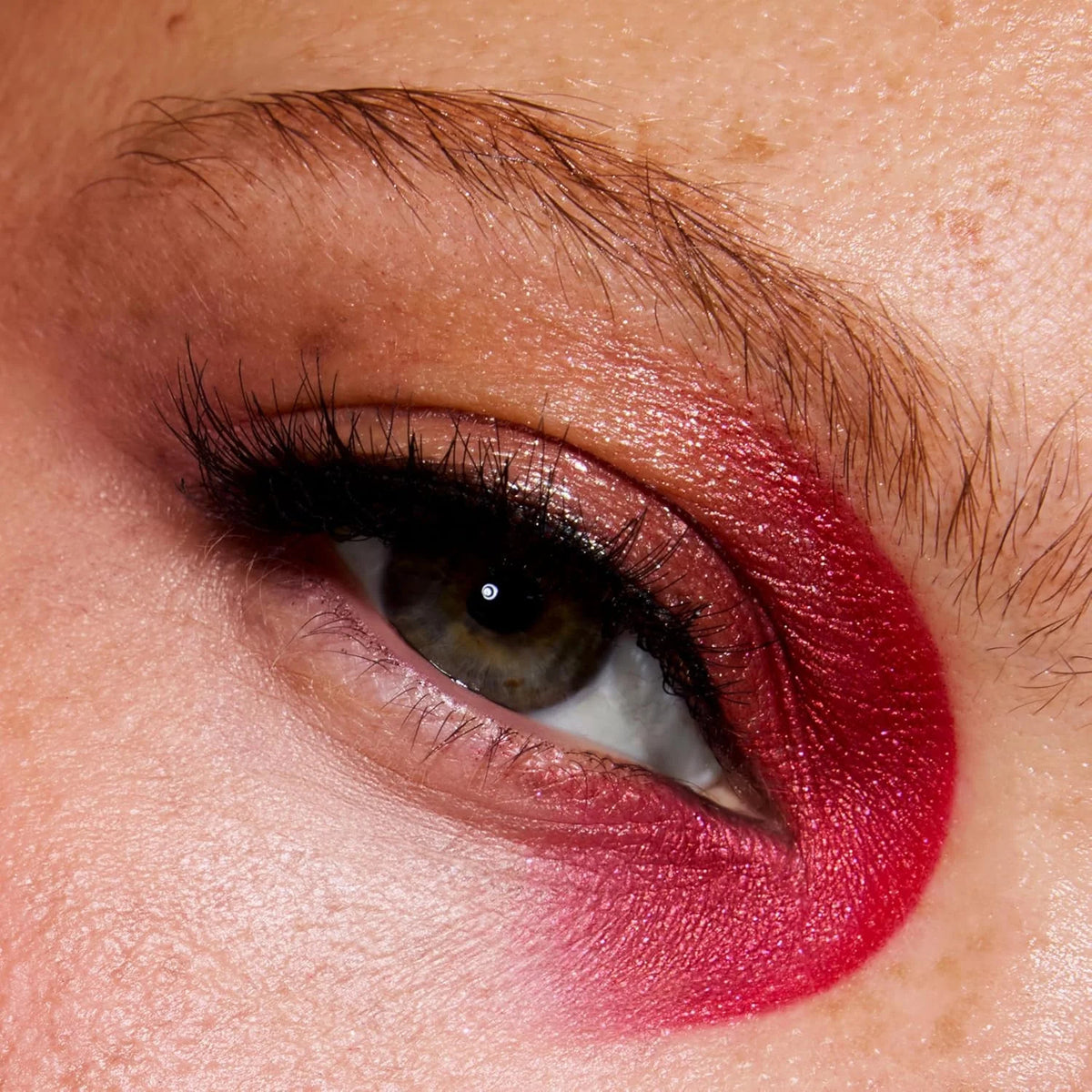 Limited Edition Twilight Saga Eclipse Eyeshadow Palette - 15 Moody Shades, Cruelty-Free Makeup