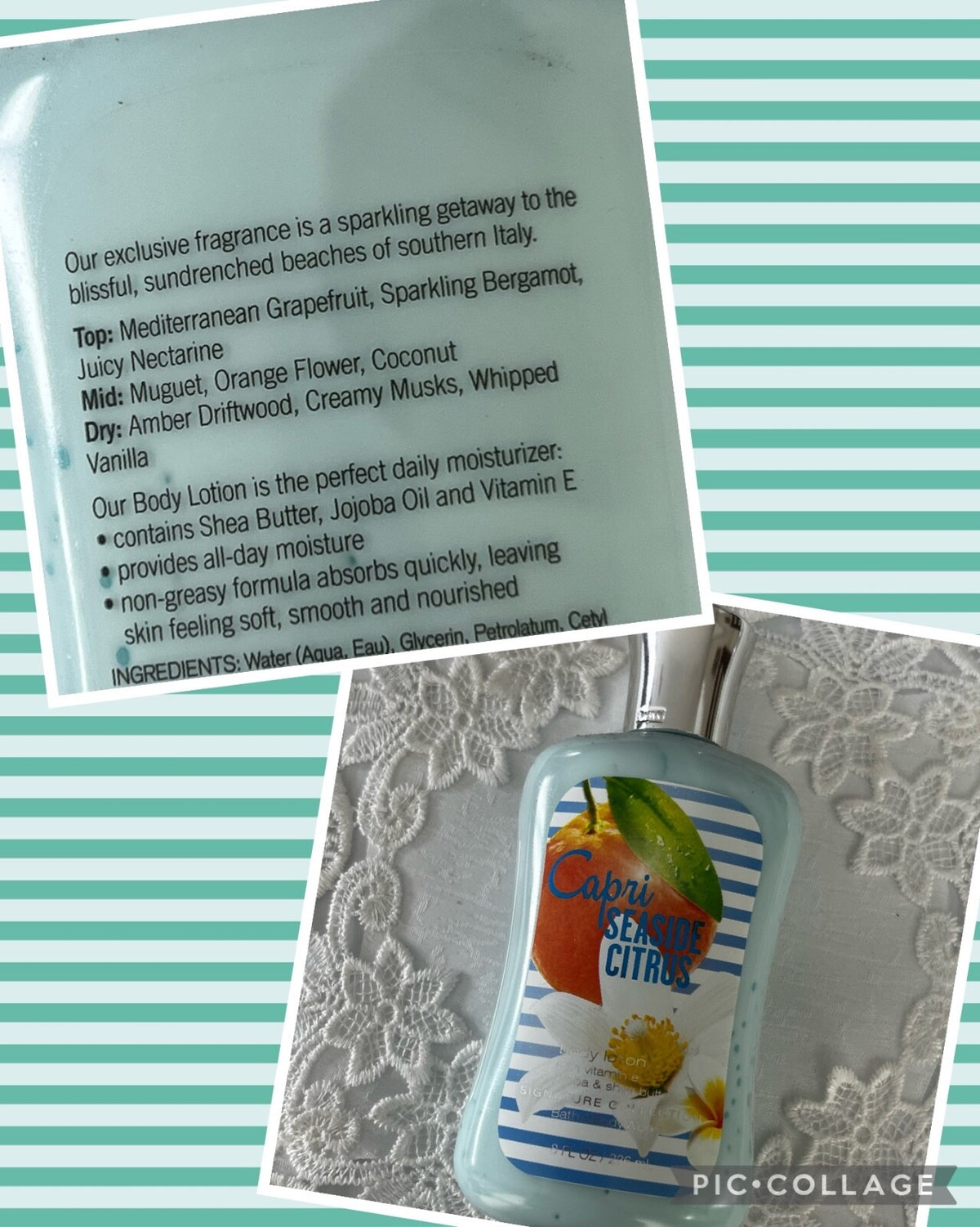 8 oz Shea Butter Body Lotion Moisturizer