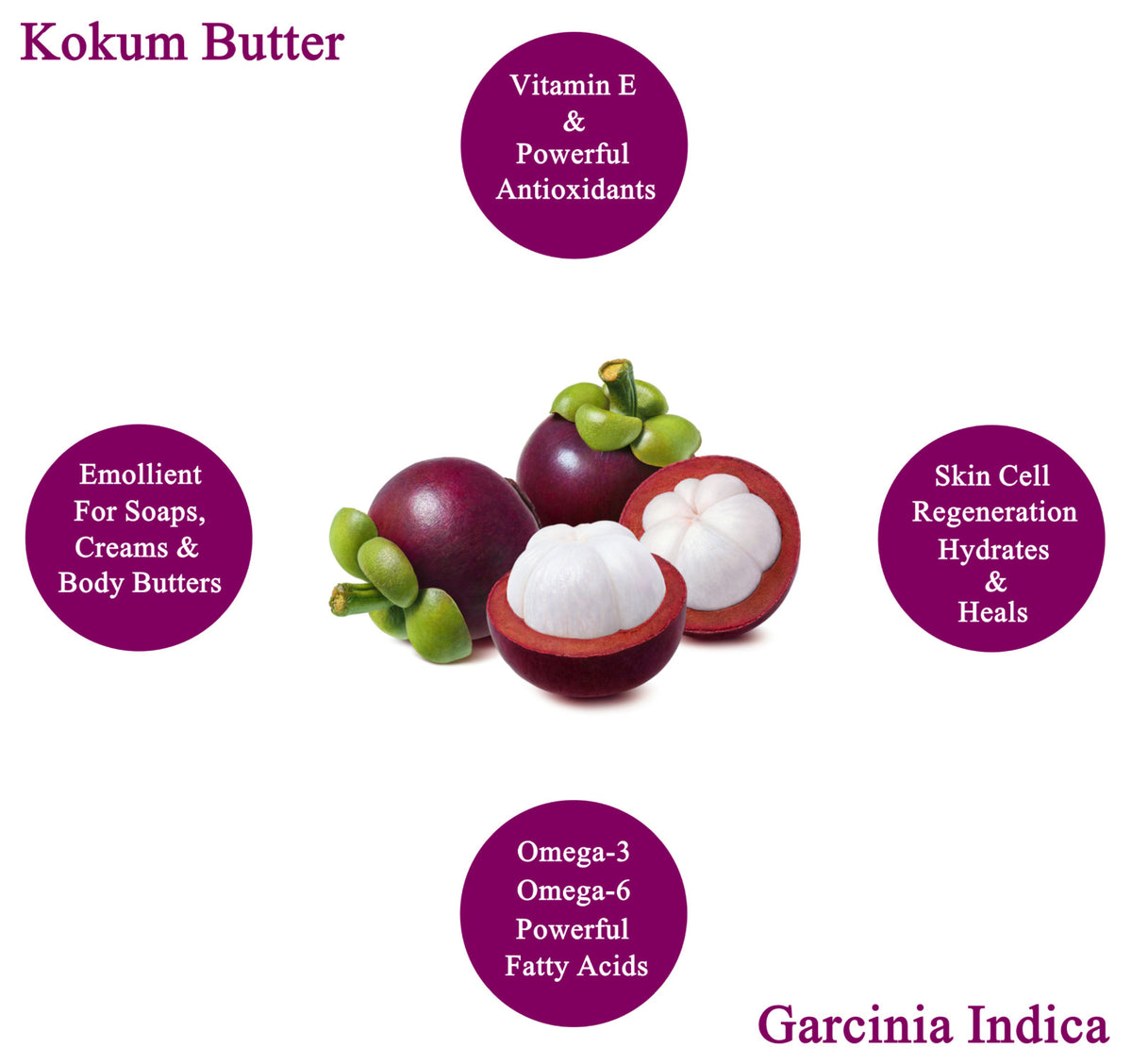 Raw Kokum Butter 32 oz. / 2 lbs. 100% Pure Natural Organic Cold
