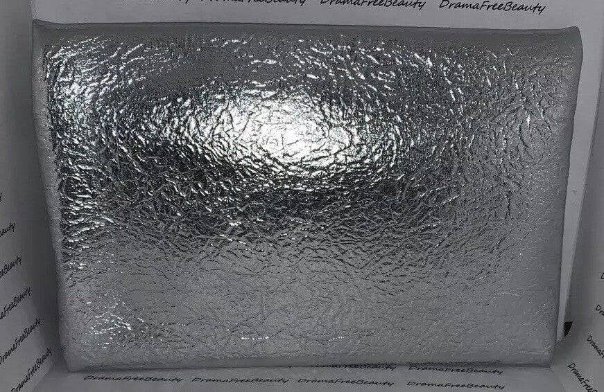 December 2019 Ipsy Silver Metallic Makeup Clutch Glam Bag